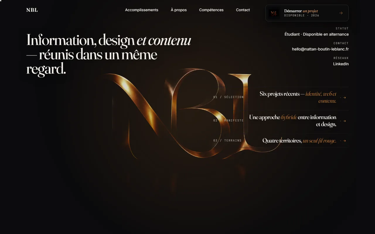 Aperçu d’un concept de portfolio créatif conçu pour présenter une identité professionnelle.