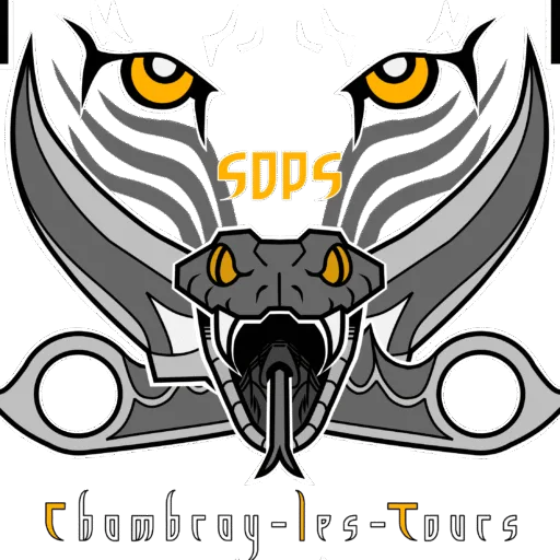 Logo SDPS 37, association de self-défense et sports de combat à Tours